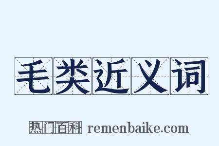 毛类近义词是什么意思的图片